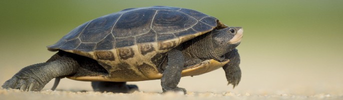 Could a slow recruitment process result in missing out on the best finance director candidates?