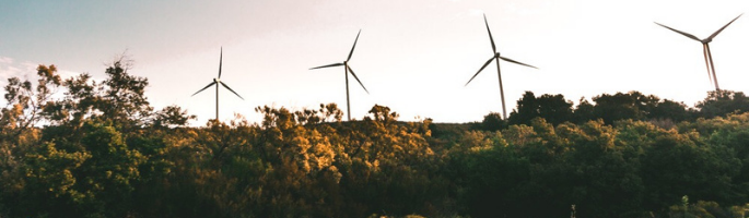 Driving Sustainability as a CFO