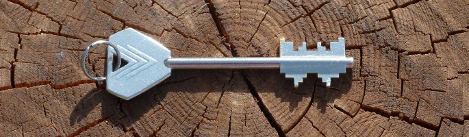 After Lockdown – CFOs Leading Companies out of the Crisis